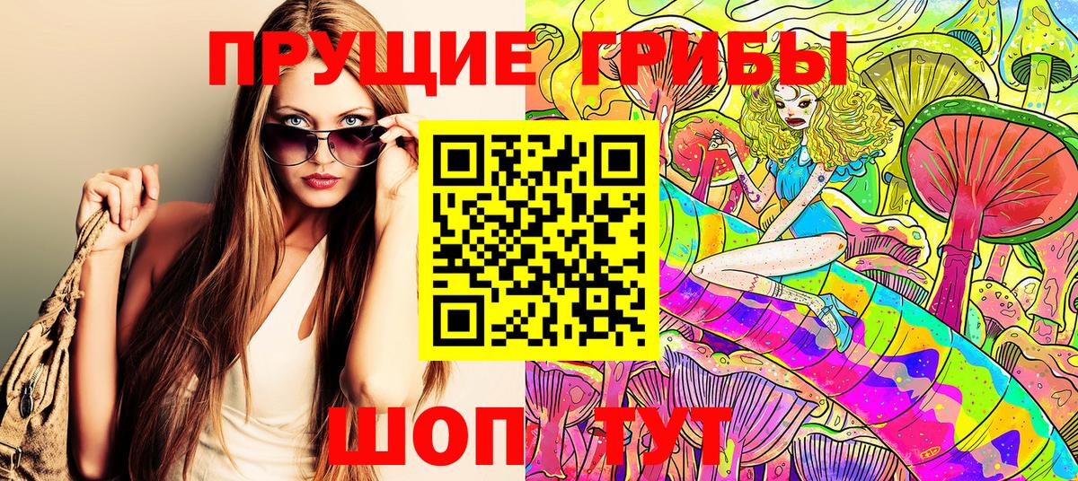 Санкт-Петербург  Псилоцибиновые грибы Cubensis  купить  цена  Вход с VPN 