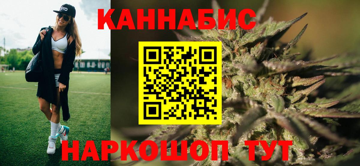 Бошки Шишки AK-47  Марихуана план  МАРИХУАНА White Widow  Санкт-Петербург  Бошки Шишки гибрид  Вход с VPN 